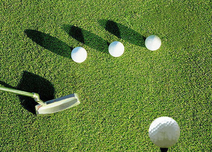 Buy cheap High Density Pp 20mm Artificial Grass For Golf Simulator from wholesalers