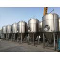 Vertical Jacketed Fermentation Tank Bright Beer Conical Beer Fermenter 3000L for sale