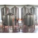 Professional Microbrewery Equipment Stainless Steel Brewing Vats 1000L for sale
