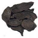 Dry Polygonum multiflorum,HeShouWu Black root powder,Fleeceflower root, Herbal for sale
