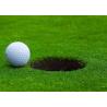 Buy cheap Green Carpet Mini Polypropylene Fake Grass Golf 20mm High from wholesalers