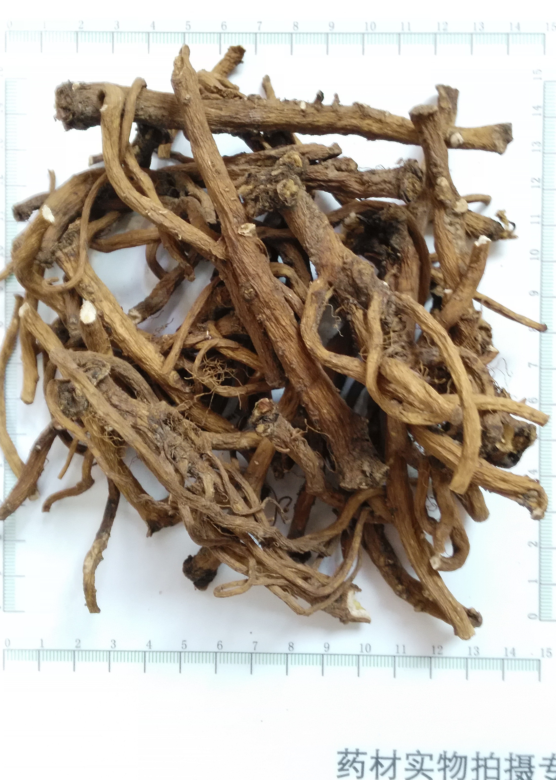 Dandelion root powder, Taraxacum mongolicum root powder for sale