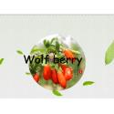 Dried fruit :Goji berry(wolfberry) 280 grain,350grain and 550Grain for sale