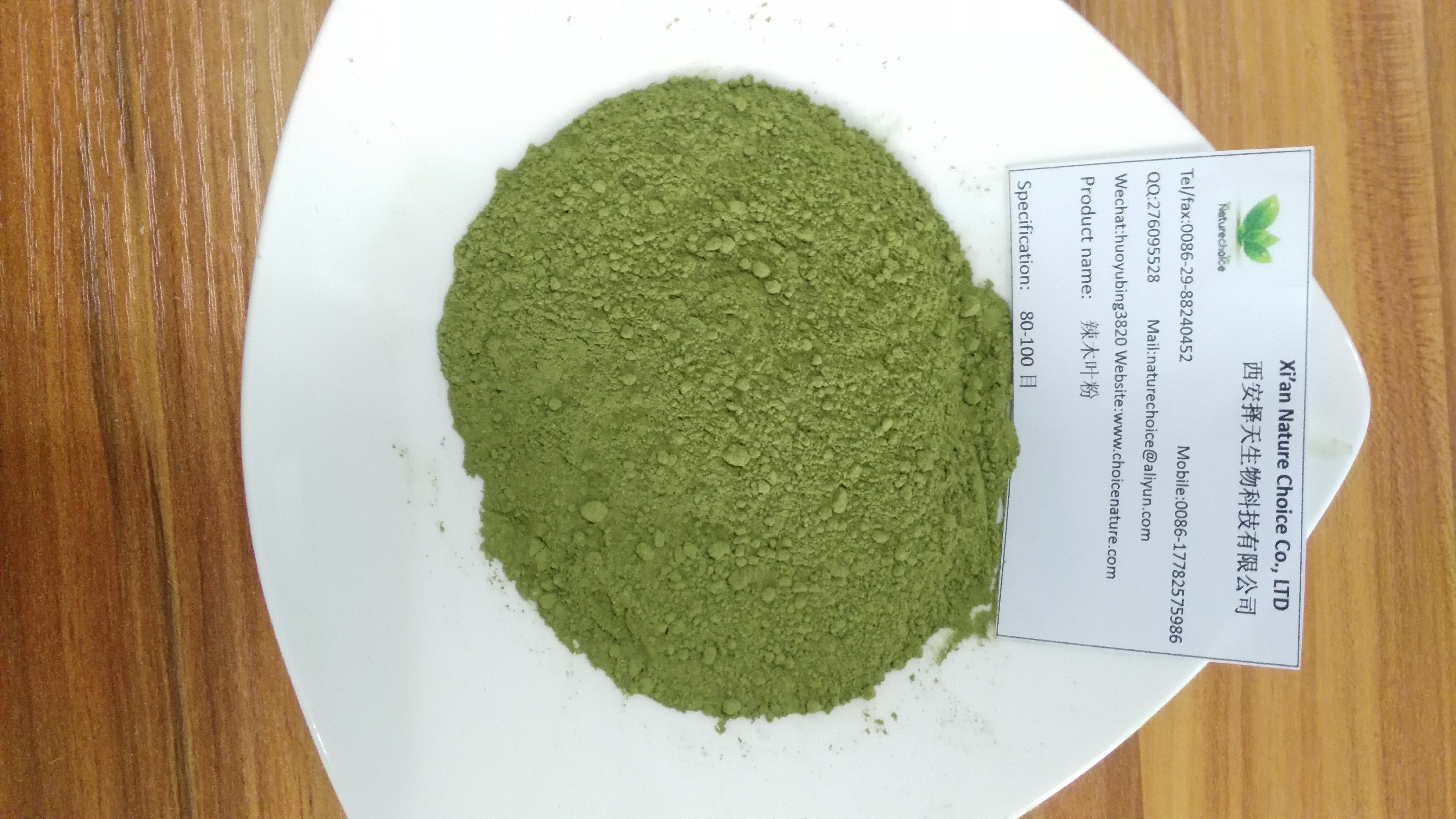 100% pure Moringa oleifera powder for sale