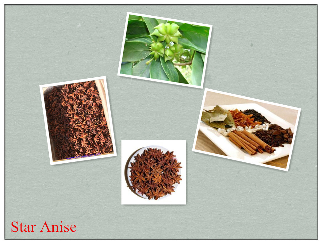 Star Anise,Dry Aniseed ,Illicium verum Hook.f, for sale