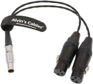 Buy cheap Alvin'S Cables XLR Breakout Audio Input Cable For Atomos Shogun Monitor Recorder 10 Pin To Dual XLR 3 Pin Female product