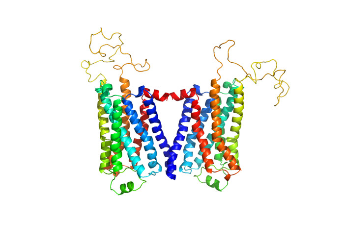 Buy cheap 52 kDa GPCR Adrenoceptor Beta 1 Adrenergic Receptor Adrb1r Cell Free Protein product