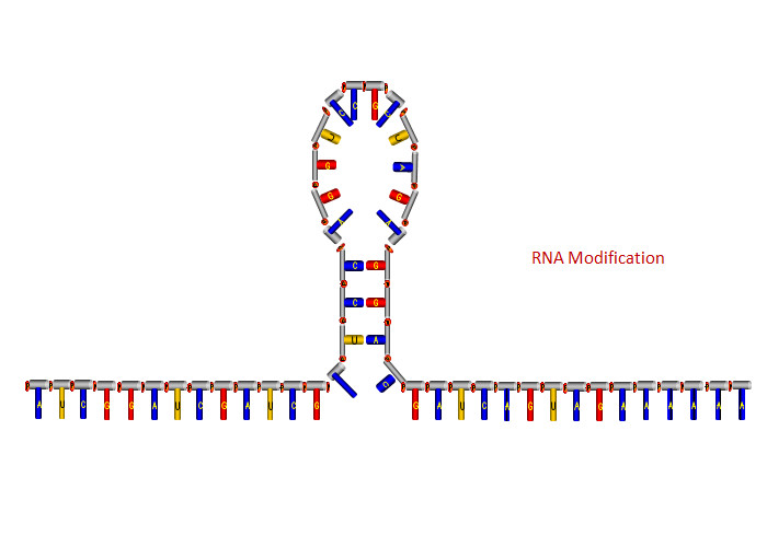 Buy cheap Lyophilized RNA Modified RNA Synthesis product