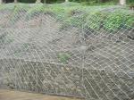 Gabion mesh for water and soil protection