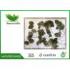 Orgainc Dried Epimedium Leaf / Horny Goat Weed Leaf for sale