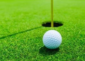 Buy cheap Fireproof Sports 10mm Synthetic Grass For Golf product