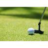 Buy cheap Garden Realistic Natural 10mm Golf Artificial Turf Green Oem from wholesalers