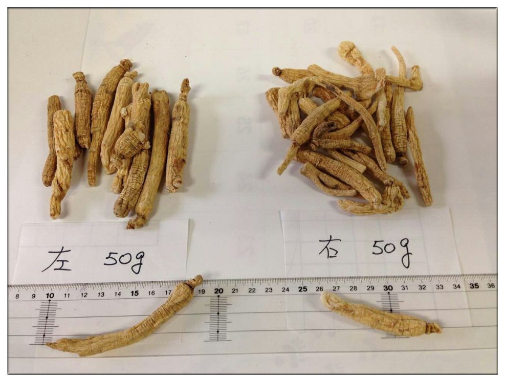 Dry Ginseng,Panax ginseng for sale