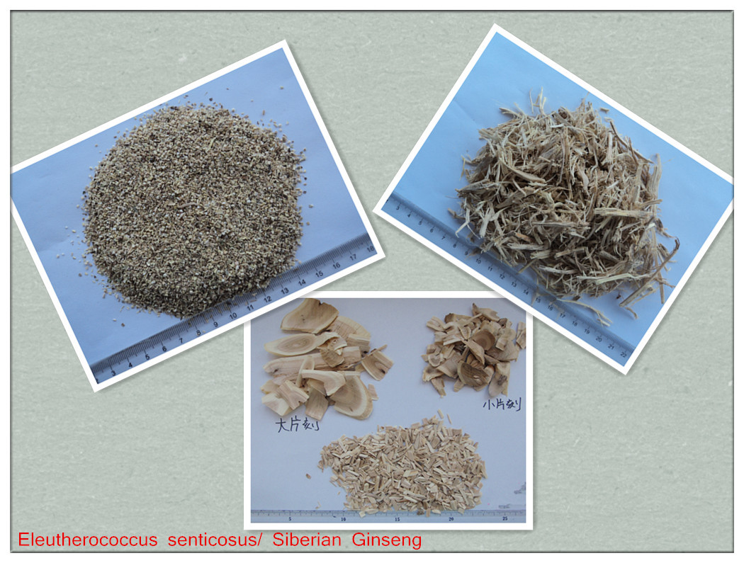 Eleutherosides B+E 0.8% Natural Siberian Ginseng Root Extract Powder for sale