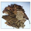 Cortex Eucommiae Leaf,leaf of Eucommia ulmoides Oliver,Eucommiae Folium for sale