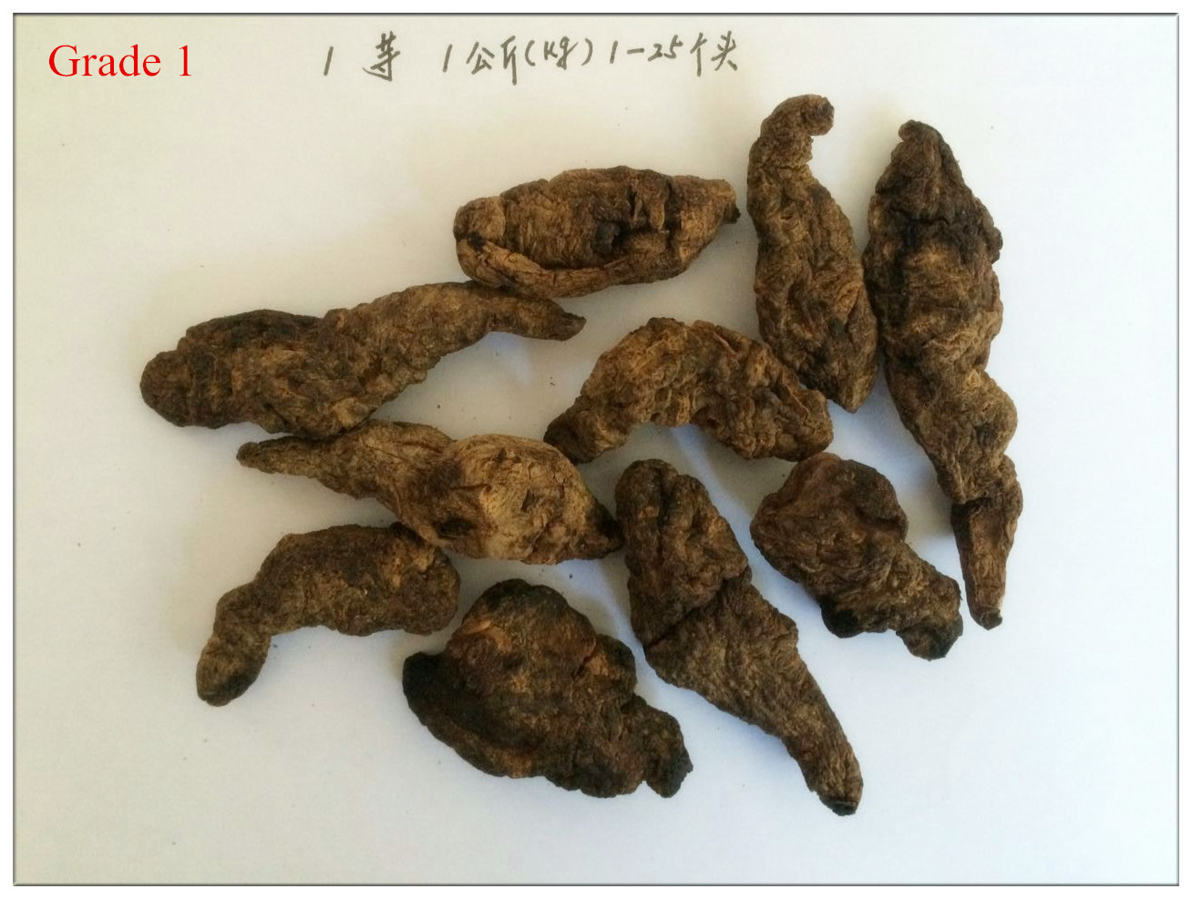 Chinese Fox-Glove Root,Rhizoma rehmanniae,Rehmannia glutinosa Libosch. for sale