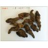 Chinese Fox-Glove Root,Rhizoma rehmanniae,Rehmannia glutinosa Libosch. for sale