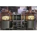 3 Phase Small Commercial Brewing Equipment 100L - 1000L For Restaurant Pub for sale
