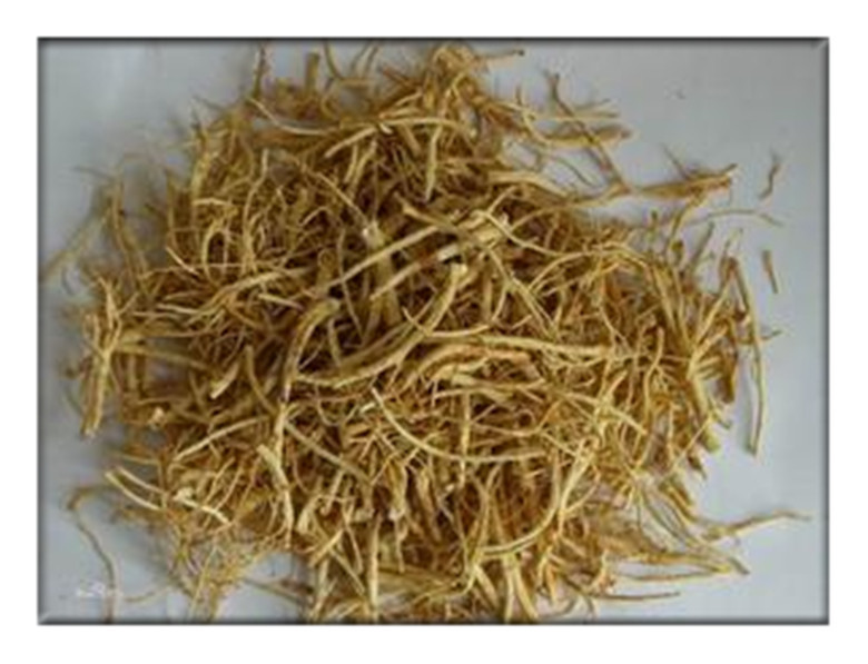 China Dry Ginseng,Panax ginseng for sale