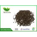 Organic Cassia Seed, Herbal Teabag Semen Cassiae for sale