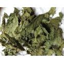 Dry Mulberry Leaf,Mulberry leaf powder,Mulberry leaf extract,Folium Mori leaf for sale