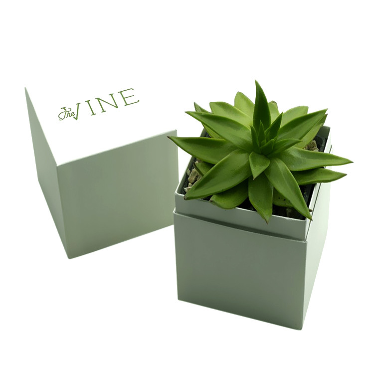 Buy cheap Custom Printed Succulent Planter Gift Box Succulent Packaging Box product