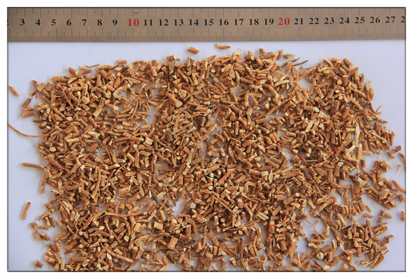 China Radix hedysari,Hedysarum polybotry,French honeysuckle for sale