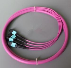 Buy cheap MPO OM4 Patch Cord/Multi-core Break-Out Patch Cable/Cable assemblies product