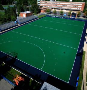 Buy cheap Environmentally Friendly Hockey Artificial Turf Durable Easy To Install product
