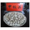 Pinellia Tuber,Pinellia ternata ,Chinese name:Banxia for sale