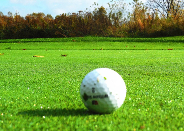 Buy cheap Putting Green 20mm High Golf Turf Flooring For Cricket Court​ from wholesalers