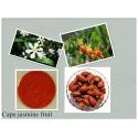 Fructus Gardeniae,Cape jasmine fruit,Gardenia jasminoides Ellis,Zhizi for sale
