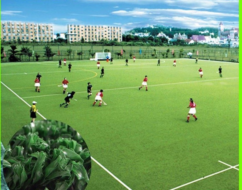 Buy cheap Eco - Friendly Natural Looking Artificial Grass For Hockey Field Long Service Life product