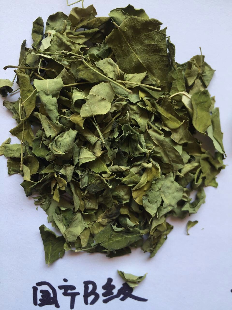Dry Moringa Oleifera leaf,Moringa leaf,Moringa leaf extract powder for sale