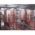 Professional Copper Mirror Small Beer Brewing Systems , Nano Brewery Equipment for sale
