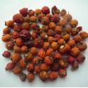 Rosehip,Fructus rosae for sale