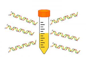 Buy cheap Custom Gene Library Nucleic Acid Lyophilized Powder Biobasic Gene Synthesis product