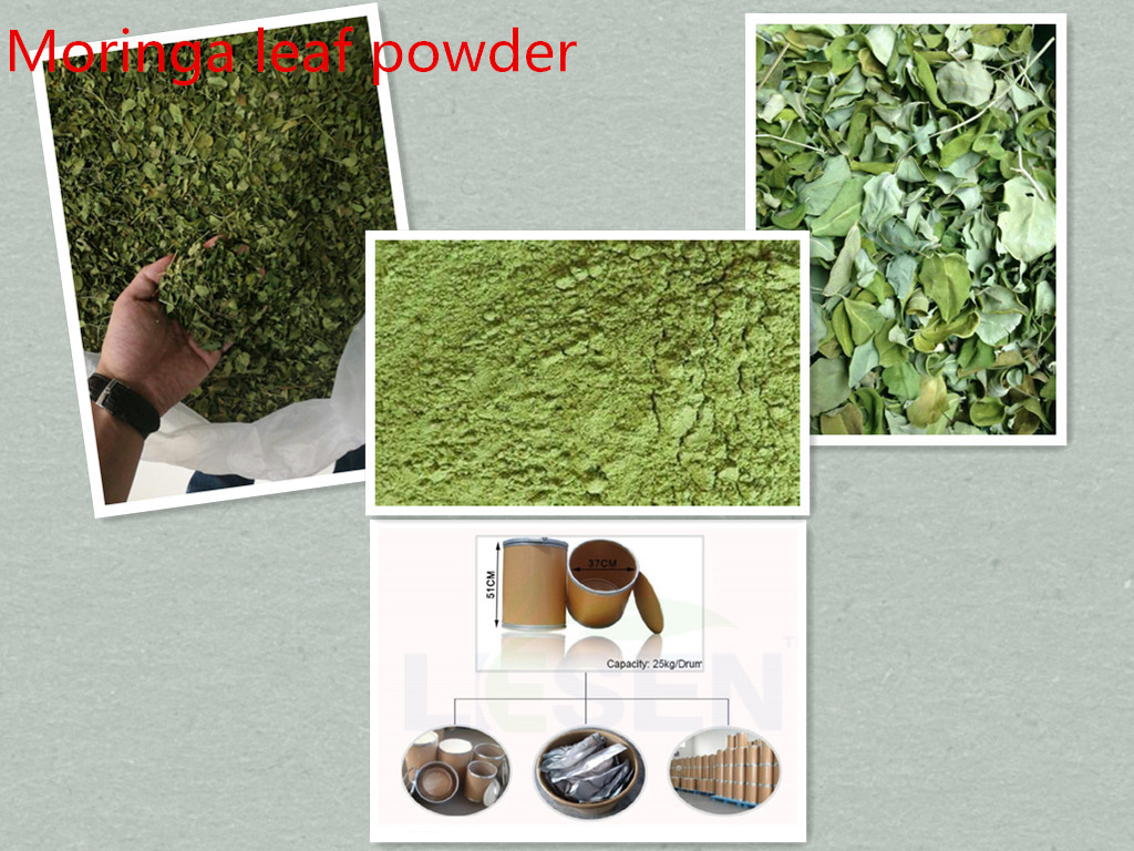 100% Pure & High quality Moringa leaf powder;Organic Moringa seed powder; for sale