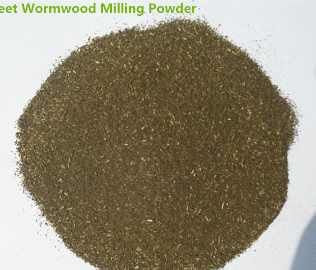 Sweet Wormwood Powder,Artemisia annua L powder,Artemisinine powder for sale