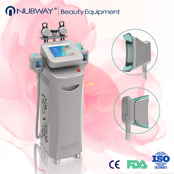 Christmas Promotion! China Factory Hot Sales Best Cryolipolysis Fat Freezing for sale