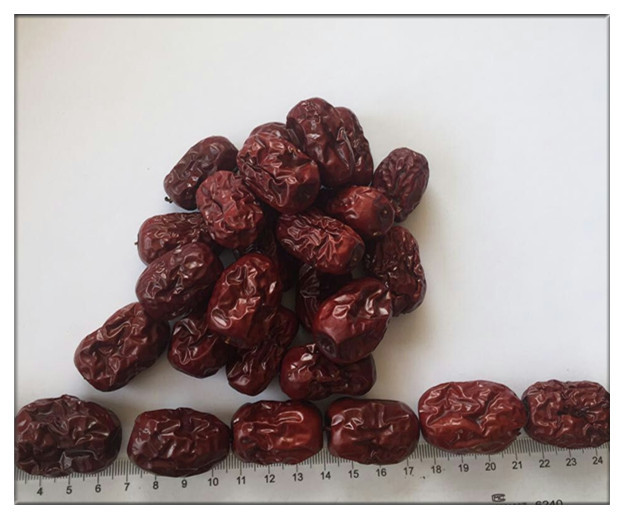 Zizyphus jujuba,Chinese date(Red date),FRUCTUS JUJUBAE DATE for sale