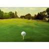 Buy cheap Lawn Seam 10mm Golf Artificial Turf Practice Putting Mat from wholesalers