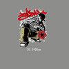 Customise Clothing Transfer Printing Images Iron