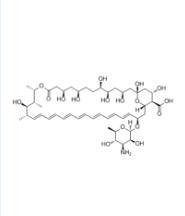 Quality 5-Amphotericin B Yellow Powder Price for sale