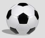 High Quality Football Training Equipment Football Manufacturers