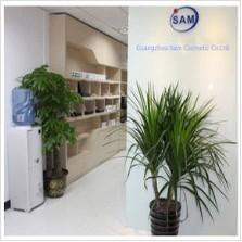 Guangzhou D-Tattoo Cosmetic Company