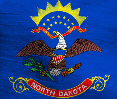 North Dakota Flag Outdoor Indoor Usage Schools Hospitals Activities Centers