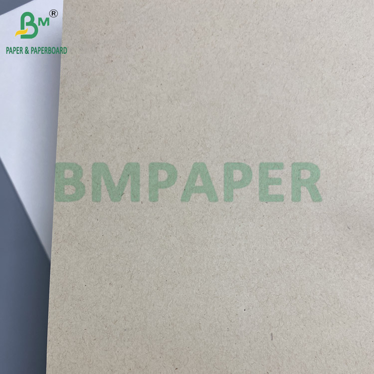 Biodegradable Food-Grade Sugarcane Paper For Disposable Plates 70gsm To 400gsm