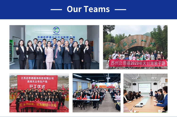 Cellulose Polyester Non Woven Flat Sheet Multi Purpose Cleanroom Wiper Paper For Silicon Wafer