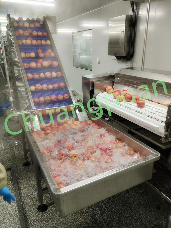 Aseptic Filling Apple Pulp Machine For Large Scale Production